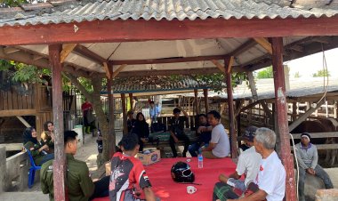 Kolaborasi Mahasiswa FKH UNDIKMA dan Puskeswan Pringgarata Berikan Solusi Bagi Peternak Menghadapi Tantangan Musim Penghujan