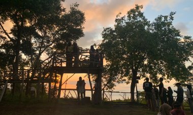 Potret Pulo Tareba: Wisata Hutan dan Tempat Berburu Senja