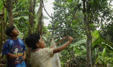 Berburu Kesenangan di Hutan