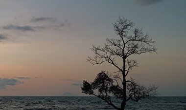 Siluet Alam di Ufuk Carita