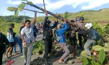 Kapolsek Huamual dan Masyarakat Gotong Royong Bersihkan Pohon Tumbang, Menjaga Kelancaran Arus Lalu Lintas