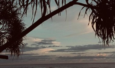 Hidup Rukun Dalam Mengelolah Hasil Alam