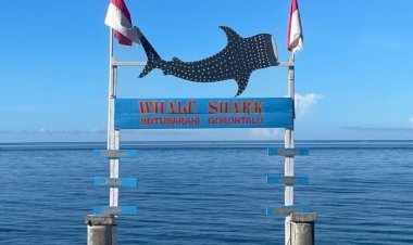 Wisata Hiu Paus Botubarani Gorontalo: Keindahan Bahari dan Kebanggaan Indonesia