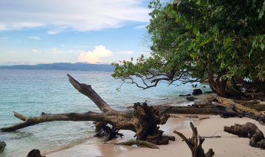 Keindahan Pantai Liang, Surga Tersembunyi di Maluku