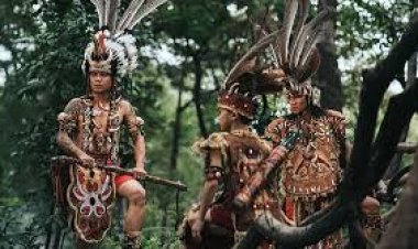 Api di Tengah Hutan: Menyulam Kebangsaan di Balik Tragedi Sampit