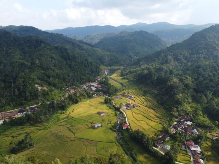 Pesona Nagari Pagadih Mengukir Prestasi di Dunia Pariwisata